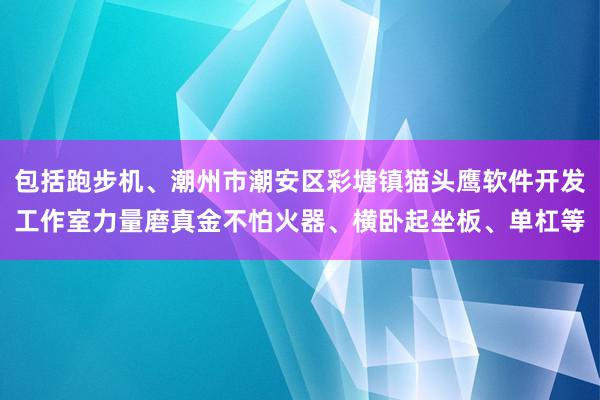 包括跑步机、潮州市潮安区彩塘镇猫头鹰软件开发工作室力量磨真金不怕火器、横卧起坐板、单杠等